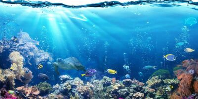 Ouverture de la rencontre internationale sur le patrimoine subaquatique à Rabat