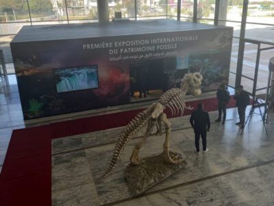 Vernissage de la première exposition internationale sur le patrimoine fossile à Rabat