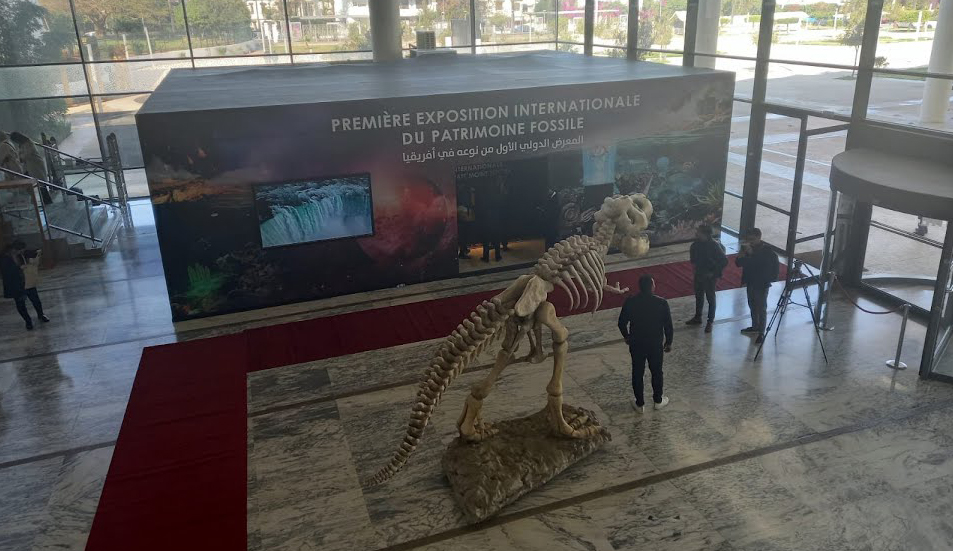 Vernissage de la première exposition internationale sur le patrimoine fossile à Rabat