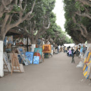 Florilège Culturel : Quand l’art visuel illumine Rabat