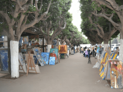 Florilège Culturel : Quand l’art visuel illumine Rabat