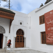 Voyage au cœur de l’Afrique : entre héritage culturel et paysages majestueux