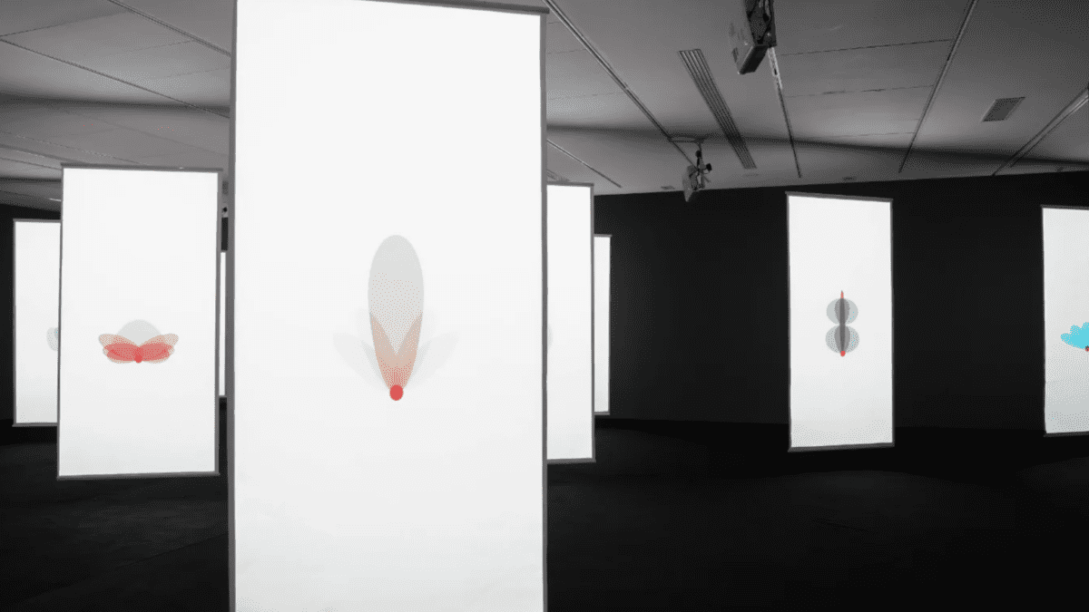 Le MMVI accueille une nouvelle exposition signée Younes Rahmoun