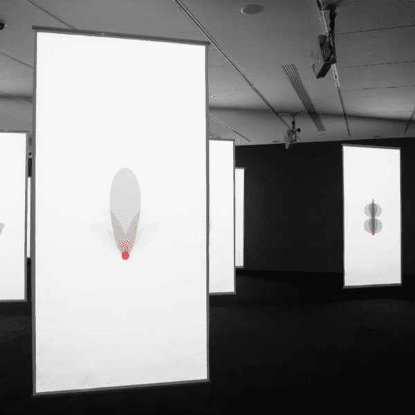 Le MMVI accueille une nouvelle exposition signée Younes Rahmoun